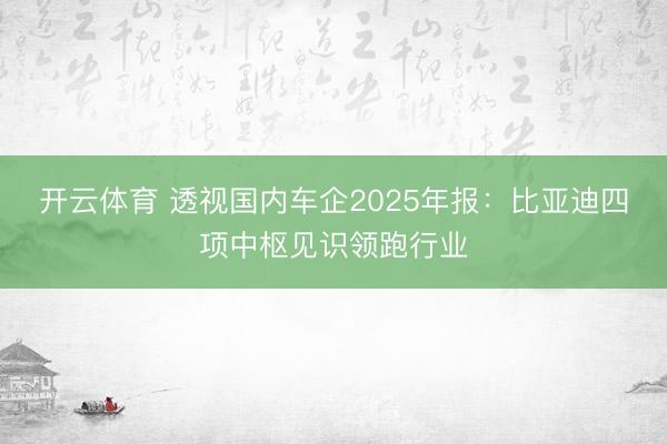开云体育 透视国内车企2025年报：比亚迪四项中枢见识领跑行业